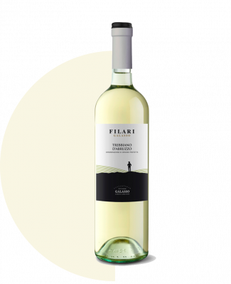 filari_trebbiano_dabruzzo-1